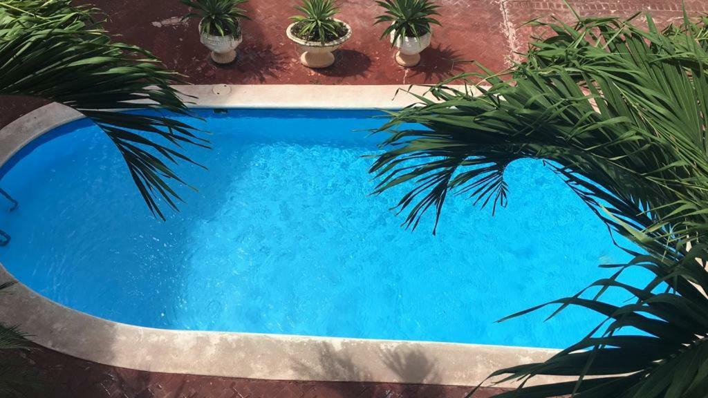 Arcoiris Share Apartment Bavaro Punta Cana Kültér fotó